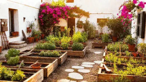 Volunteers working together outdoors in a Mediterranean landscape